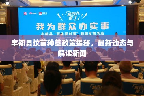豐都縣墳前種草政策揭秘，最新動(dòng)態(tài)與解讀新聞