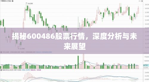 揭秘600486股票行情，深度分析與未來(lái)展望