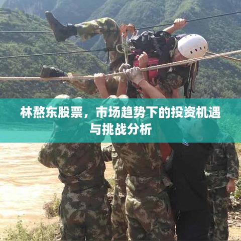 林熬東股票，市場(chǎng)趨勢(shì)下的投資機(jī)遇與挑戰(zhàn)分析