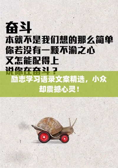 勵(lì)志學(xué)習(xí)語(yǔ)錄文案精選，小眾卻震撼心靈！