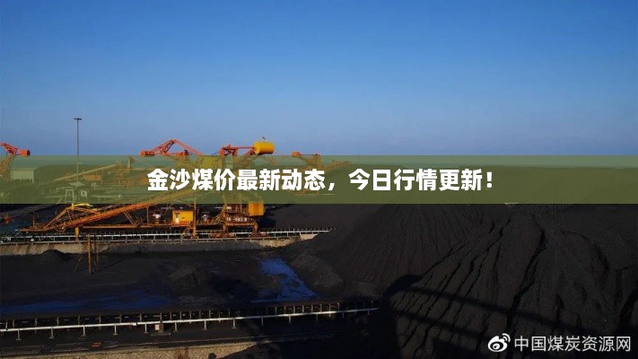 金沙煤價最新動態(tài)，今日行情更新！