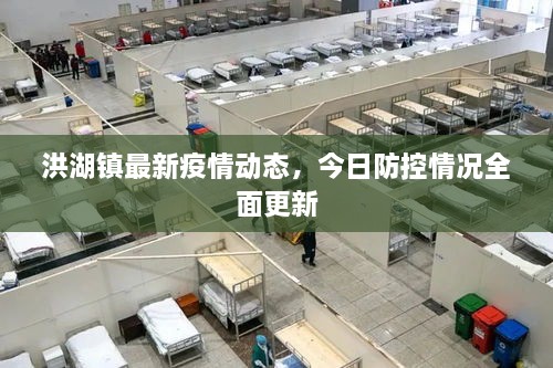 洪湖鎮(zhèn)最新疫情動態(tài)，今日防控情況全面更新