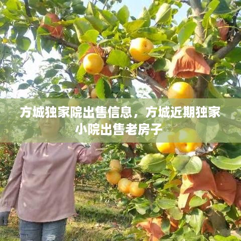 方城獨家院出售信息，方城近期獨家小院出售老房子 