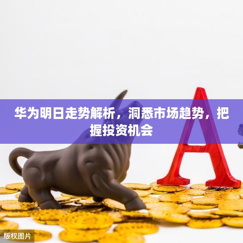 華為明日走勢解析，洞悉市場趨勢，把握投資機會