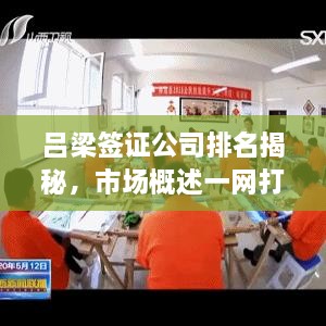 呂梁簽證公司排名揭秘，市場(chǎng)概述一網(wǎng)打盡