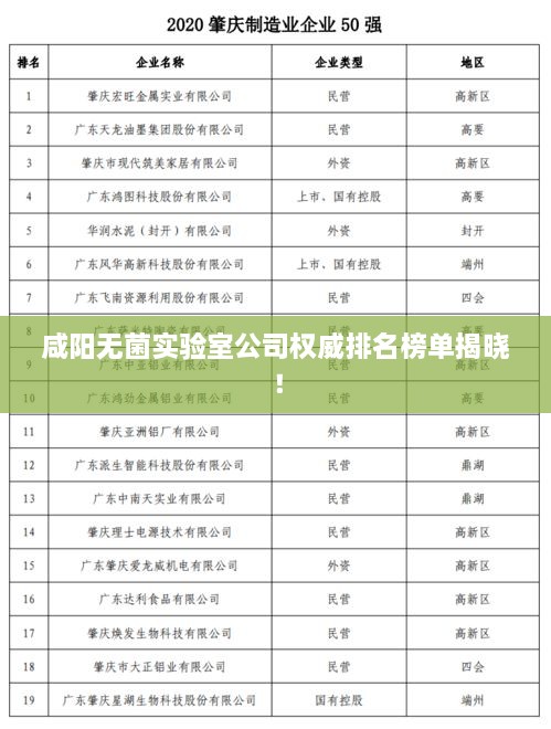 咸陽無菌實驗室公司權(quán)威排名榜單揭曉！