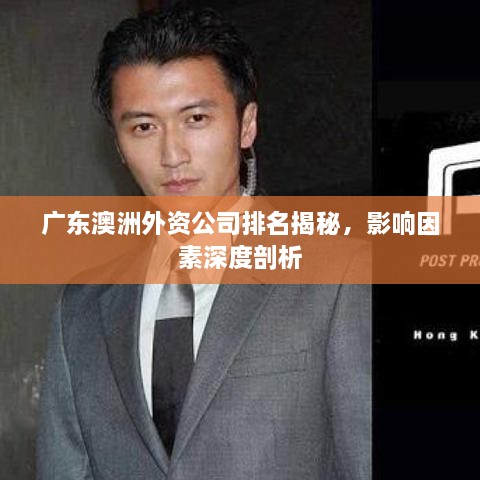 廣東澳洲外資公司排名揭秘，影響因素深度剖析