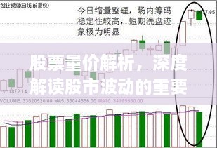 盡心竭力 第2頁