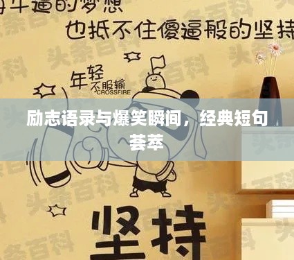 勵志語錄與爆笑瞬間，經(jīng)典短句薈萃