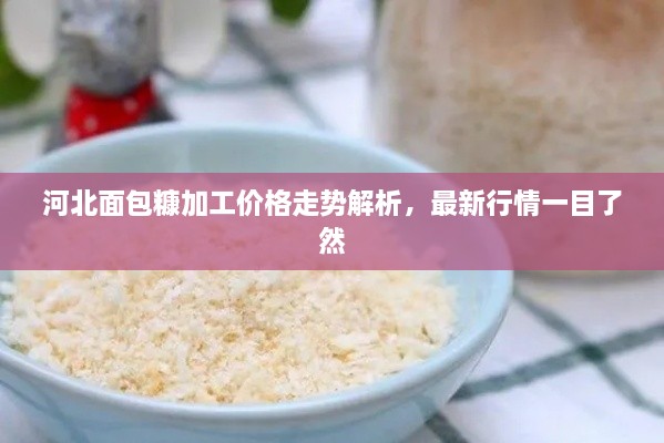 河北面包糠加工價(jià)格走勢(shì)解析，最新行情一目了然
