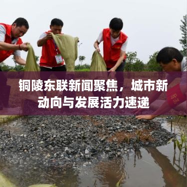 銅陵?yáng)|聯(lián)新聞聚焦，城市新動(dòng)向與發(fā)展活力速遞
