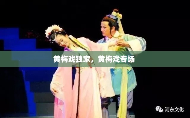 黃梅戲獨(dú)家，黃梅戲?qū)?