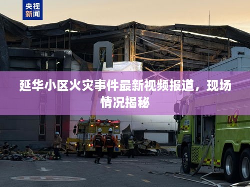 延華小區(qū)火災(zāi)事件最新視頻報道，現(xiàn)場情況揭秘
