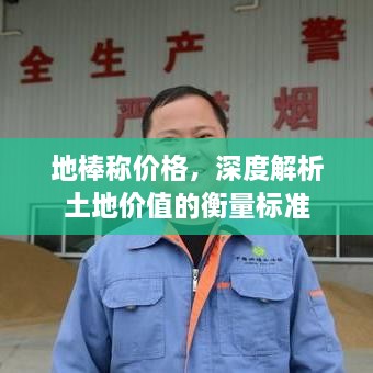 地棒稱價格，深度解析土地價值的衡量標(biāo)準(zhǔn)