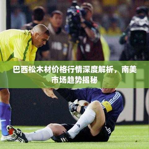 巴西松木材價格行情深度解析，南美市場趨勢揭秘