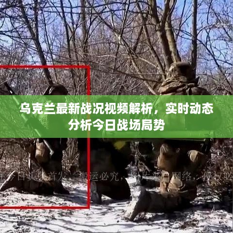 烏克蘭最新戰(zhàn)況視頻解析，實時動態(tài)分析今日戰(zhàn)場局勢