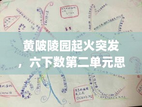 黃陂陵園起火突發(fā)，六下數(shù)第二單元思維導(dǎo)圖 