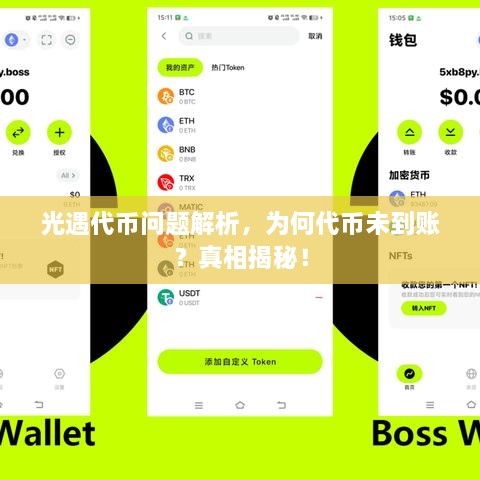 光遇代幣問題解析，為何代幣未到賬？真相揭秘！