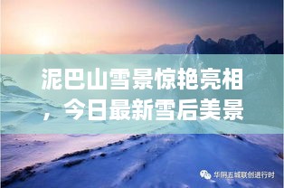 泥巴山雪景驚艷亮相，今日最新雪后美景報道！