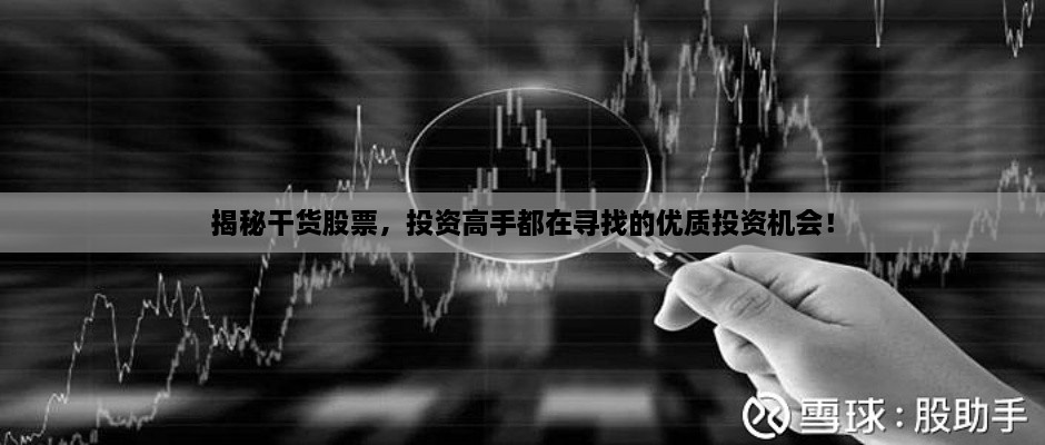 揭秘干貨股票，投資高手都在尋找的優(yōu)質(zhì)投資機(jī)會！