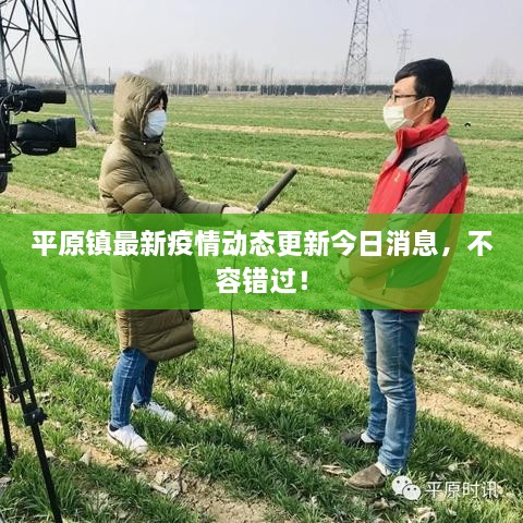 平原鎮(zhèn)最新疫情動態(tài)更新今日消息，不容錯過！