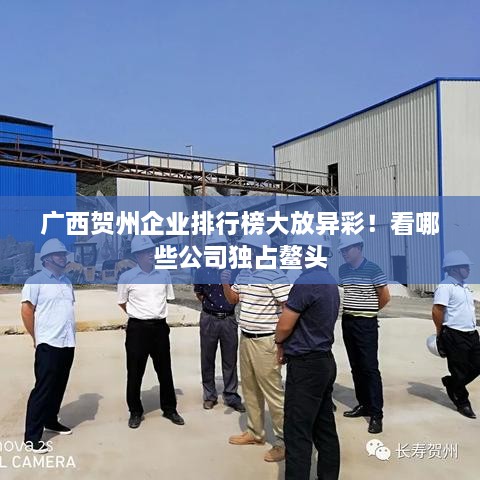 廣西賀州企業(yè)排行榜大放異彩！看哪些公司獨(dú)占鰲頭