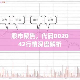 股市聚焦，代碼002042行情深度解析