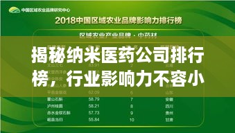 揭秘納米醫(yī)藥公司排行榜，行業(yè)影響力不容小覷！