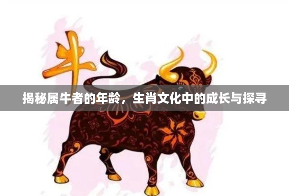 揭秘屬牛者的年齡，生肖文化中的成長與探尋