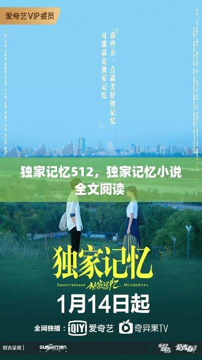 獨(dú)家記憶512，獨(dú)家記憶小說全文閱讀 
