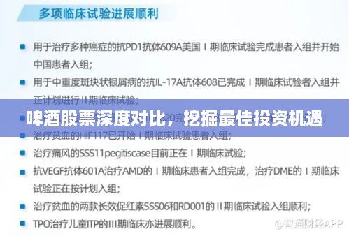 啤酒股票深度對比，挖掘最佳投資機遇