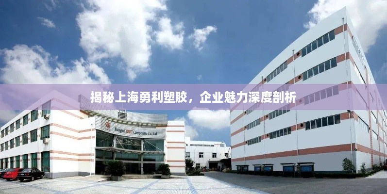 揭秘上海勇利塑膠，企業(yè)魅力深度剖析