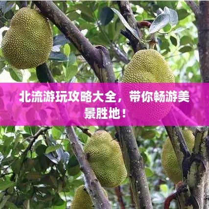 北流游玩攻略大全，帶你暢游美景勝地！