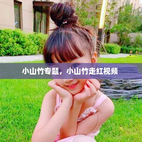 小山竹專題，小山竹走紅視頻 