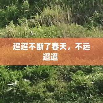 迢迢不斷了春天，不遠(yuǎn)迢迢 