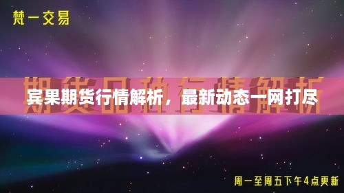 賓果期貨行情解析，最新動(dòng)態(tài)一網(wǎng)打盡