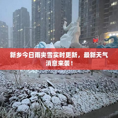 新鄉(xiāng)今日雨夾雪實(shí)時(shí)更新，最新天氣消息來(lái)襲！