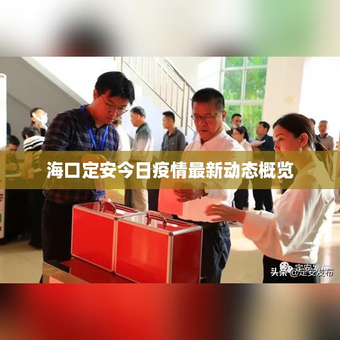 ?？诙ò步袢找咔樽钚聞討B(tài)概覽