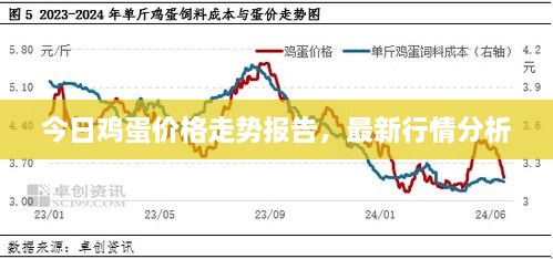 今日雞蛋價(jià)格走勢(shì)報(bào)告，最新行情分析
