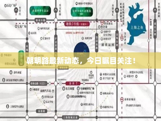 朝明路最新動態(tài)，今日矚目關注！