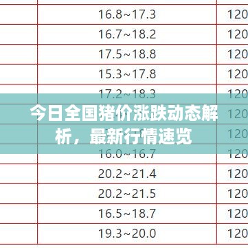 今日全國豬價漲跌動態(tài)解析，最新行情速覽