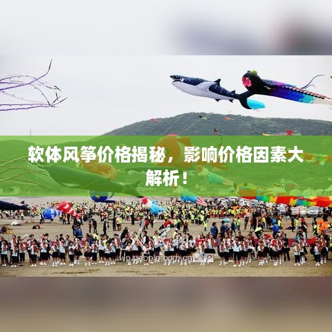 軟體風箏價格揭秘，影響價格因素大解析！