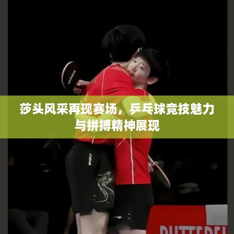 莎頭風(fēng)采再現(xiàn)賽場(chǎng)，乒乓球競(jìng)技魅力與拼搏精神展現(xiàn)