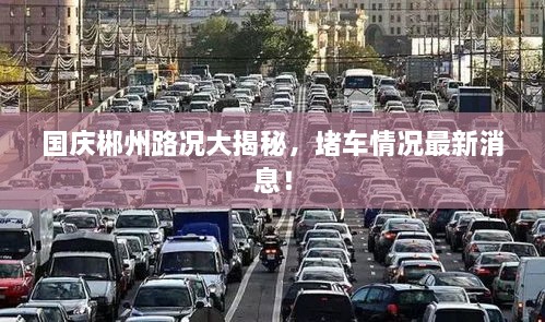 國慶郴州路況大揭秘，堵車情況最新消息！