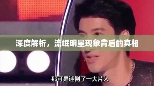 深度解析，流氓明星現(xiàn)象背后的真相