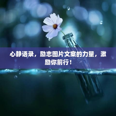 心靜語錄，勵志圖片文案的力量，激勵你前行！