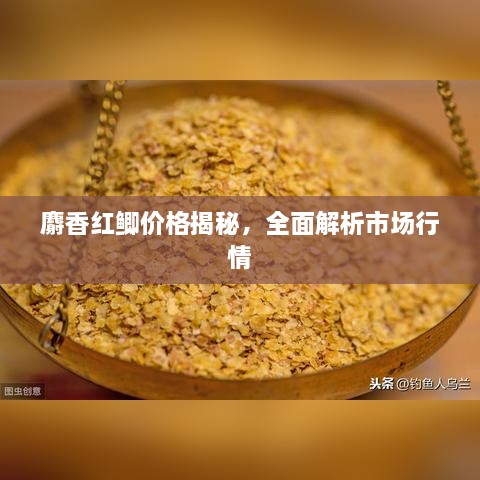 麝香紅鯽價(jià)格揭秘，全面解析市場(chǎng)行情
