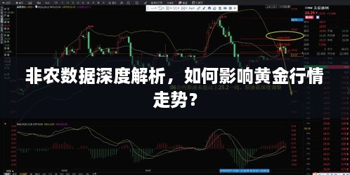 非農(nóng)數(shù)據(jù)深度解析，如何影響黃金行情走勢(shì)？