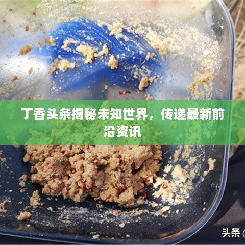 丁香頭條揭秘未知世界，傳遞最新前沿資訊