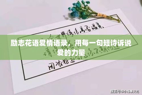 勵(lì)志花語(yǔ)愛情語(yǔ)錄，用每一句短詩(shī)訴說(shuō)愛的力量